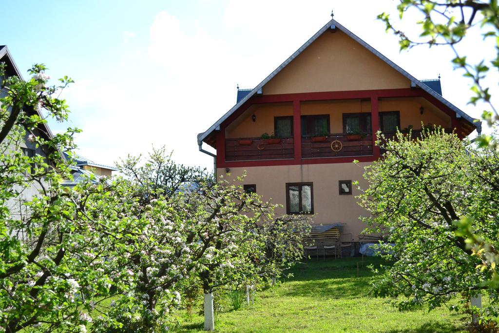 Casa Andrada&Ilinca Gura Humorului Exterior foto